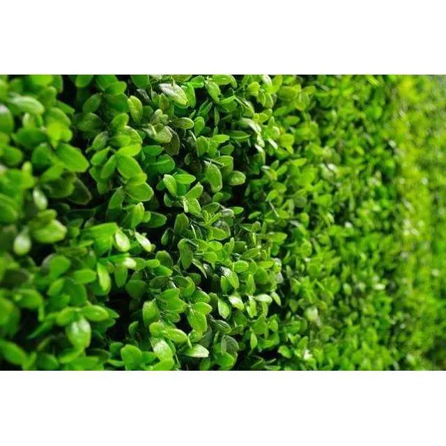 Dense Buxus Artificial Hedge Tile / Fake Vertical Garden 1m x 1m UV Resistant