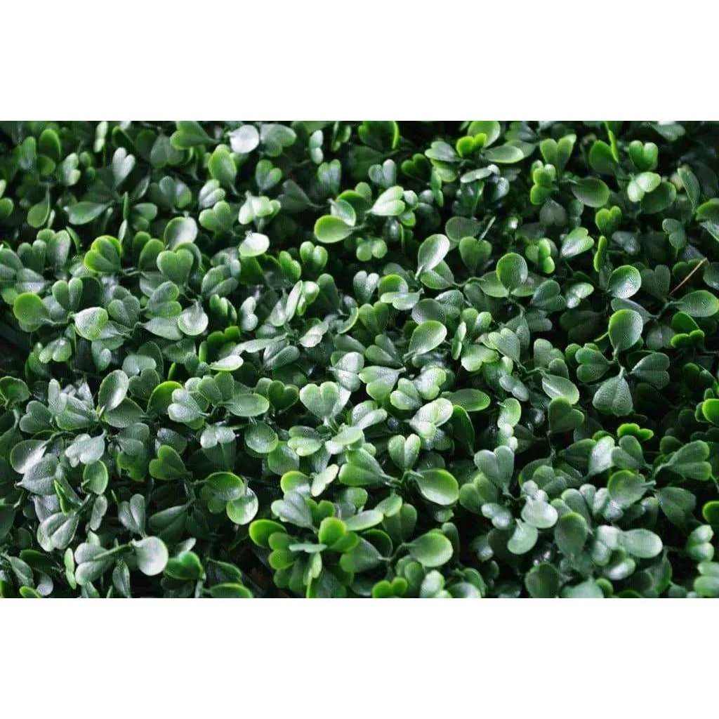 English Boxwood Artificial Hedge Panel Green Wall 1m x 1m UV Resistant
