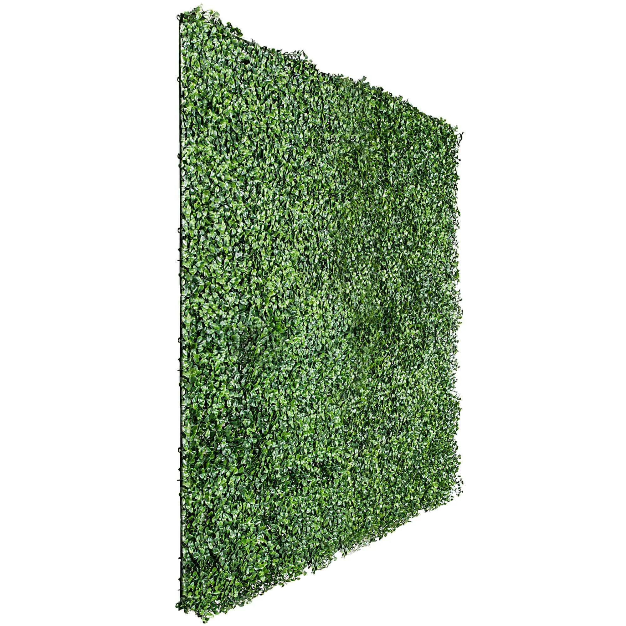 English Boxwood Artificial Hedge Panel Green Wall 1m x 1m UV Resistant