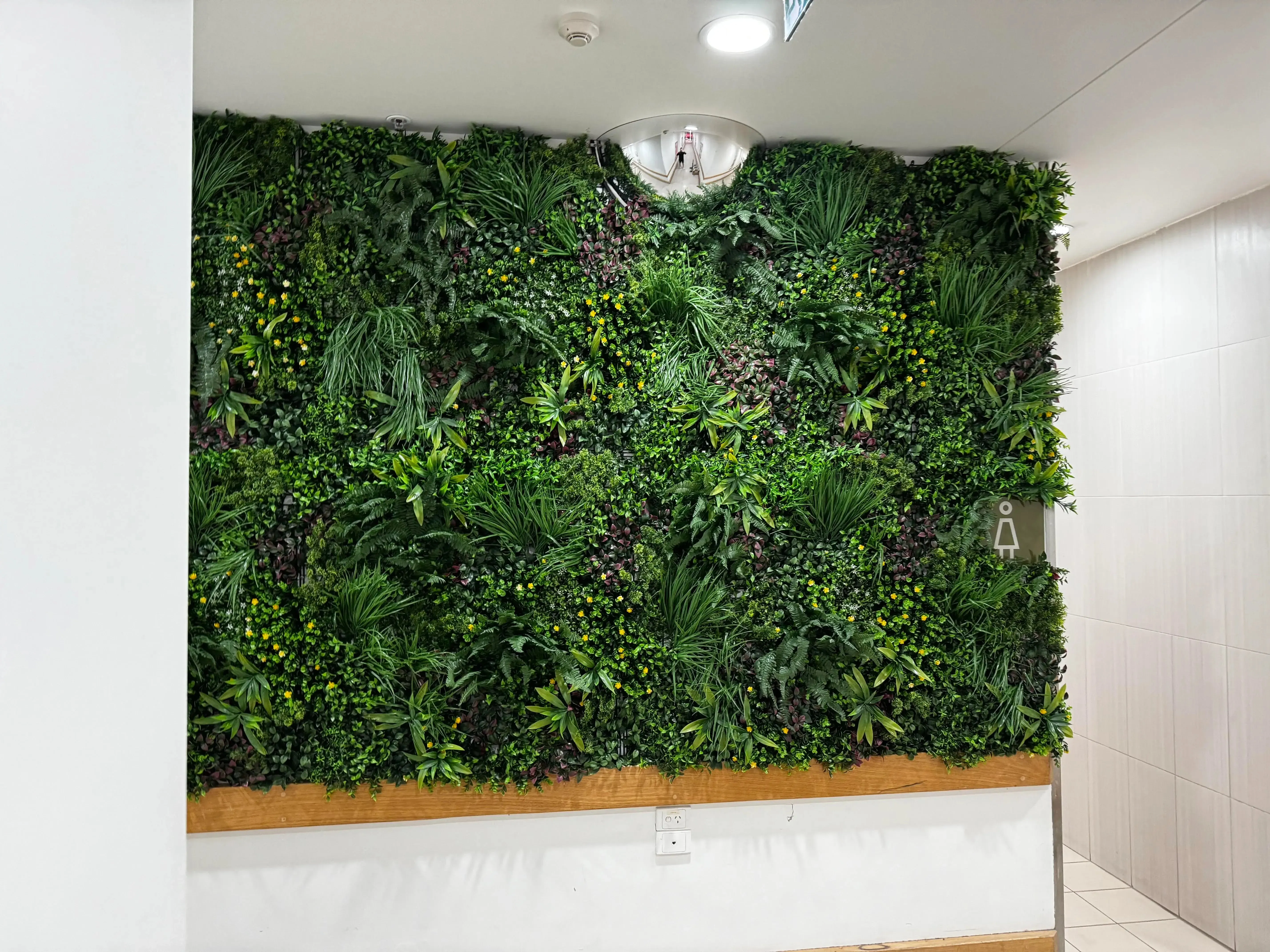 Luxury Country Fern Artificial Vertical Garden / Green Wall 100cm x 100cm UV Resistant